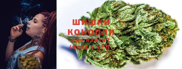 СК Богородск