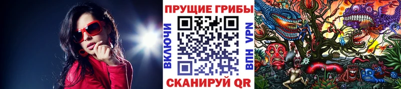 Псилоцибиновые грибы Magic Shrooms  Кологрив 